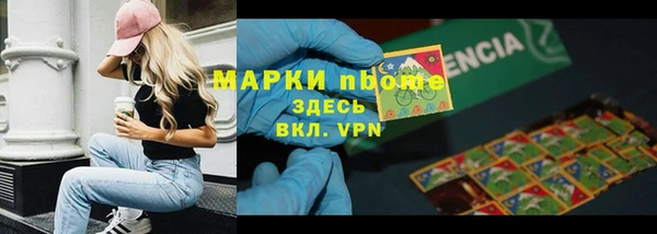 ПСИЛОЦИБИНОВЫЕ ГРИБЫ Гусев