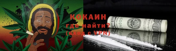 спайс Гусь-Хрустальный