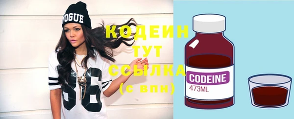 спайс Гусь-Хрустальный