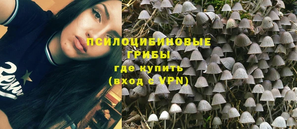 спайс Гусь-Хрустальный