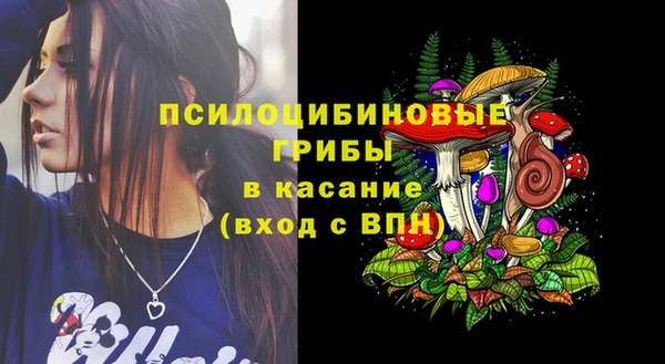 дживик Дмитриев