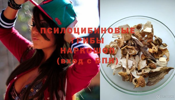 твердый Нягань