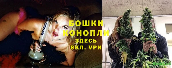 винт Гусиноозёрск